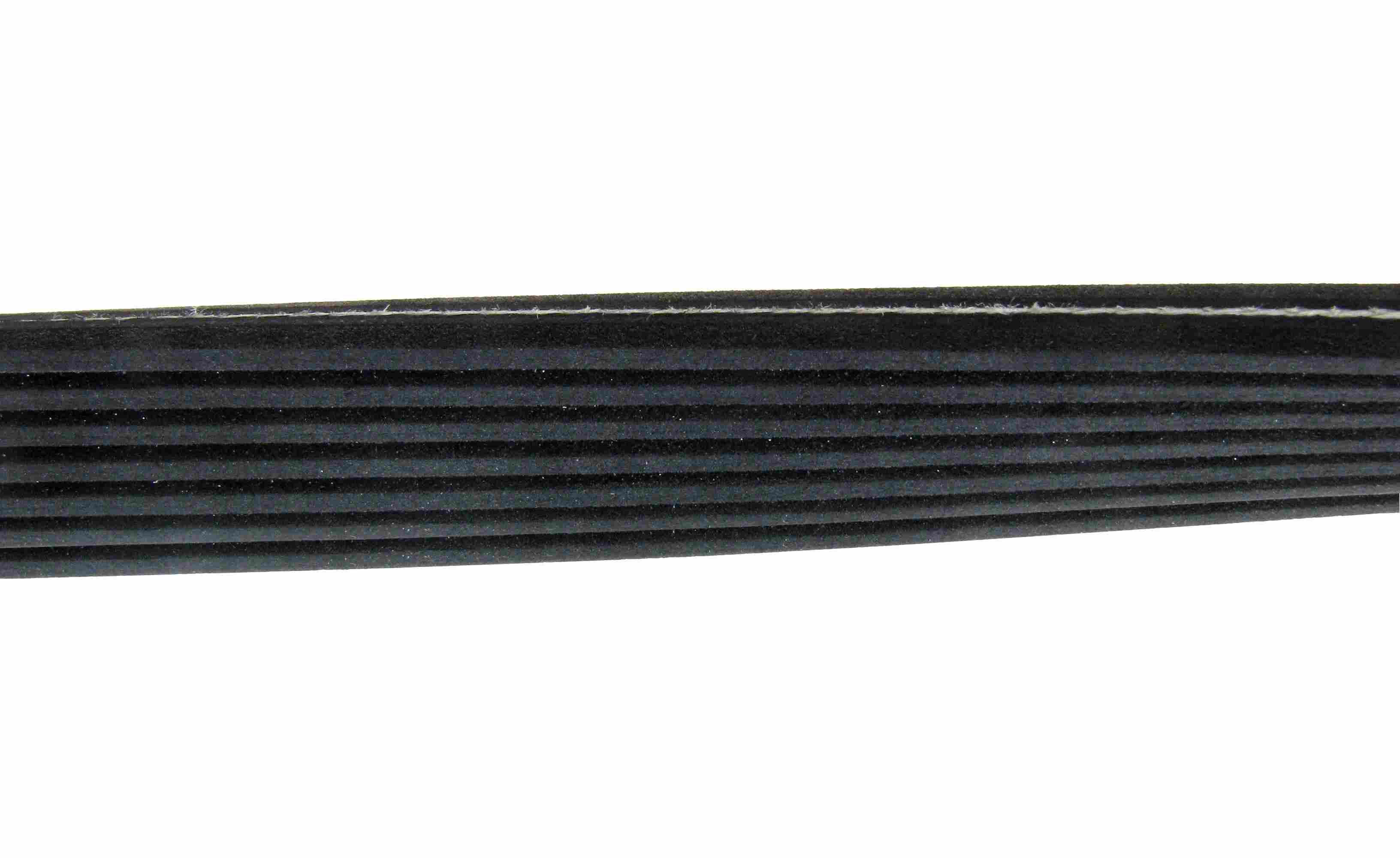 Continental Serpentine Belt D4070535