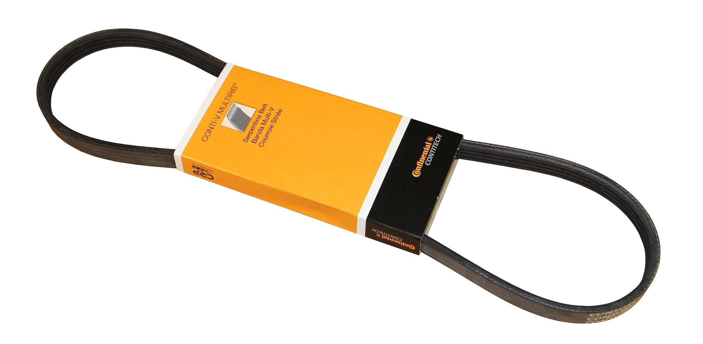 Continental Serpentine Belt EB013