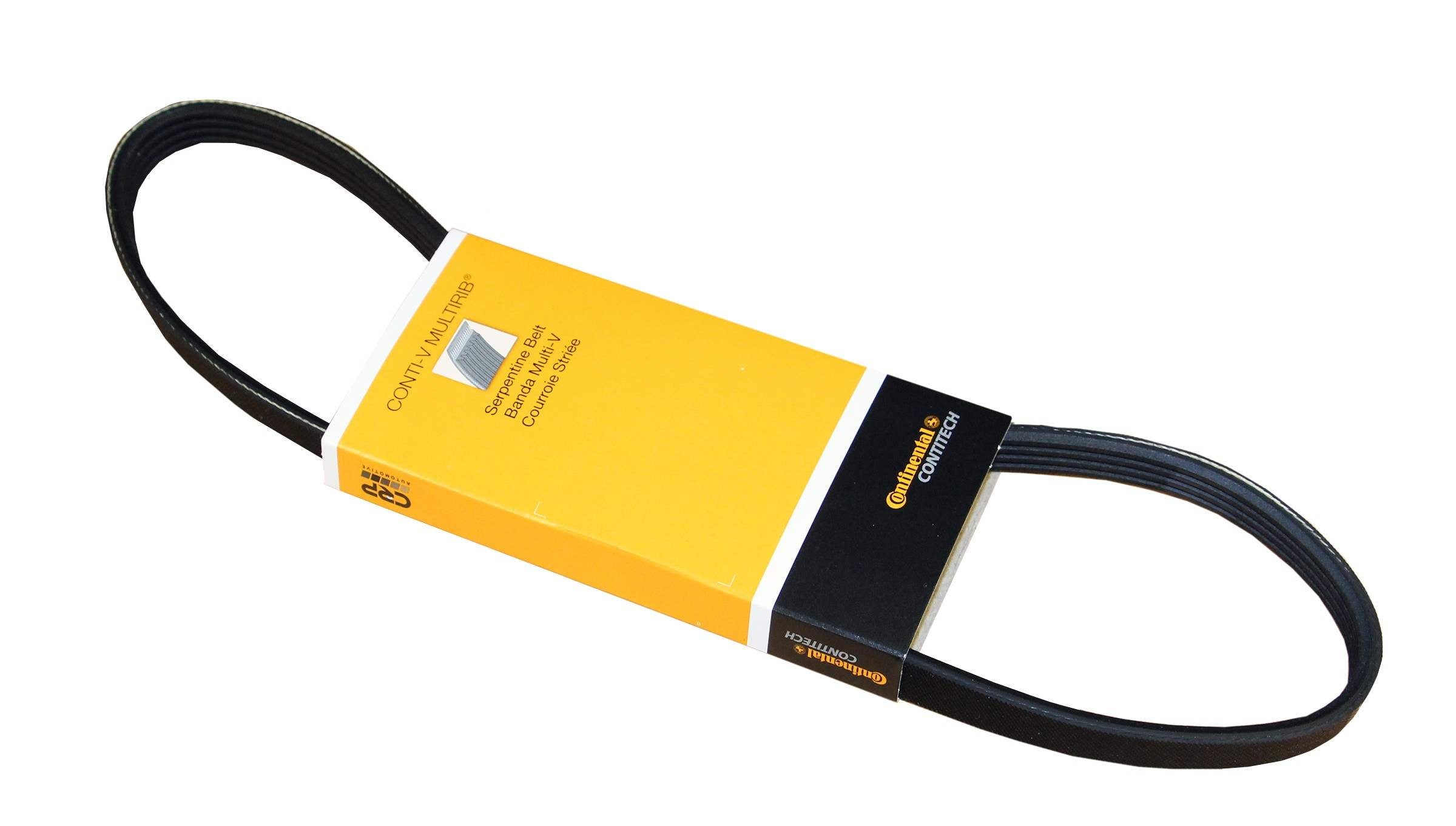 Continental Serpentine Belt PK040305