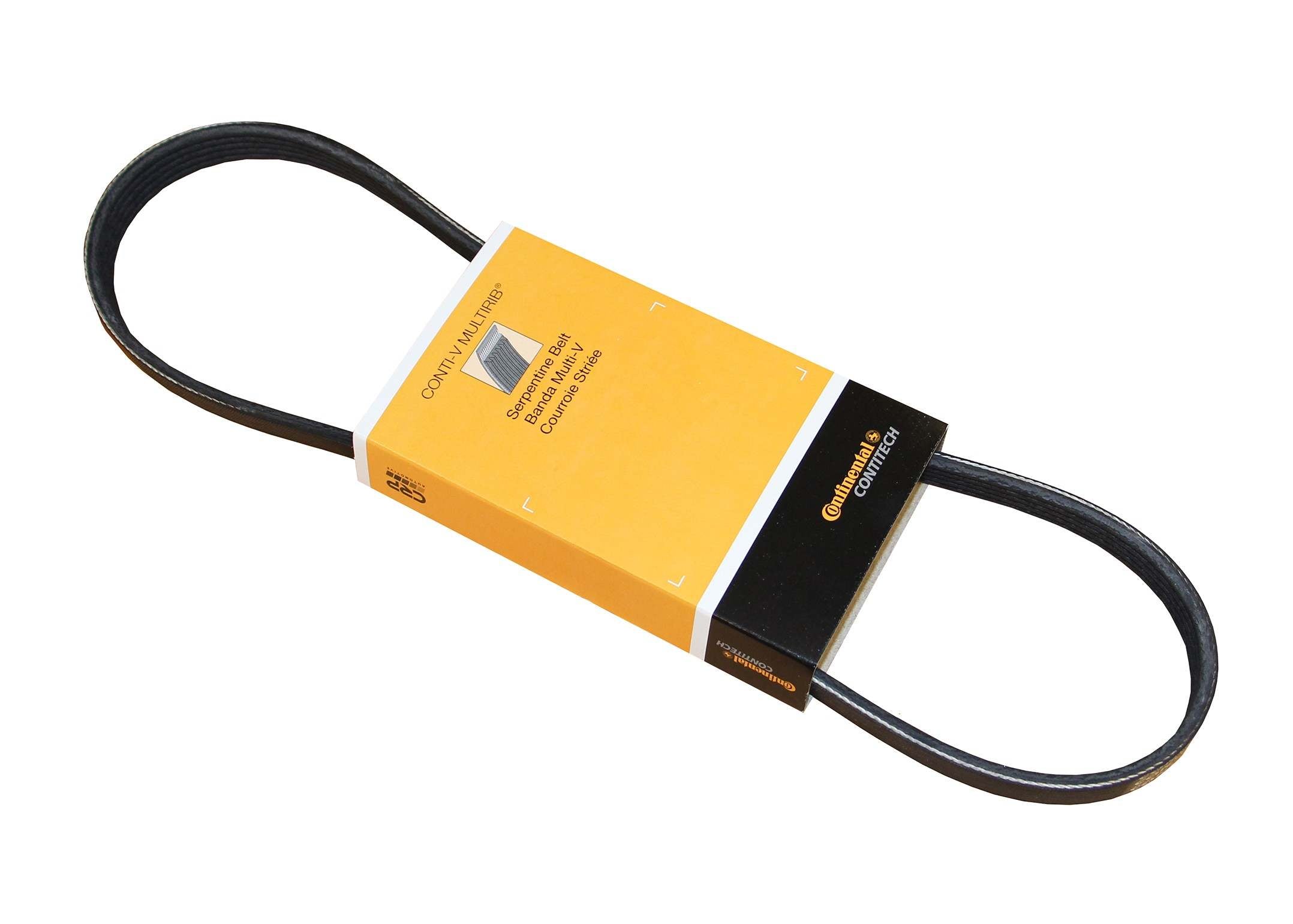 Continental Serpentine Belt PK050333