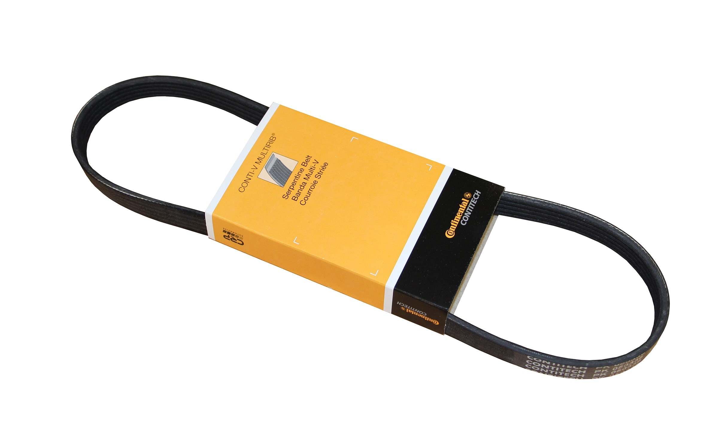 Continental Serpentine Belt PK050336