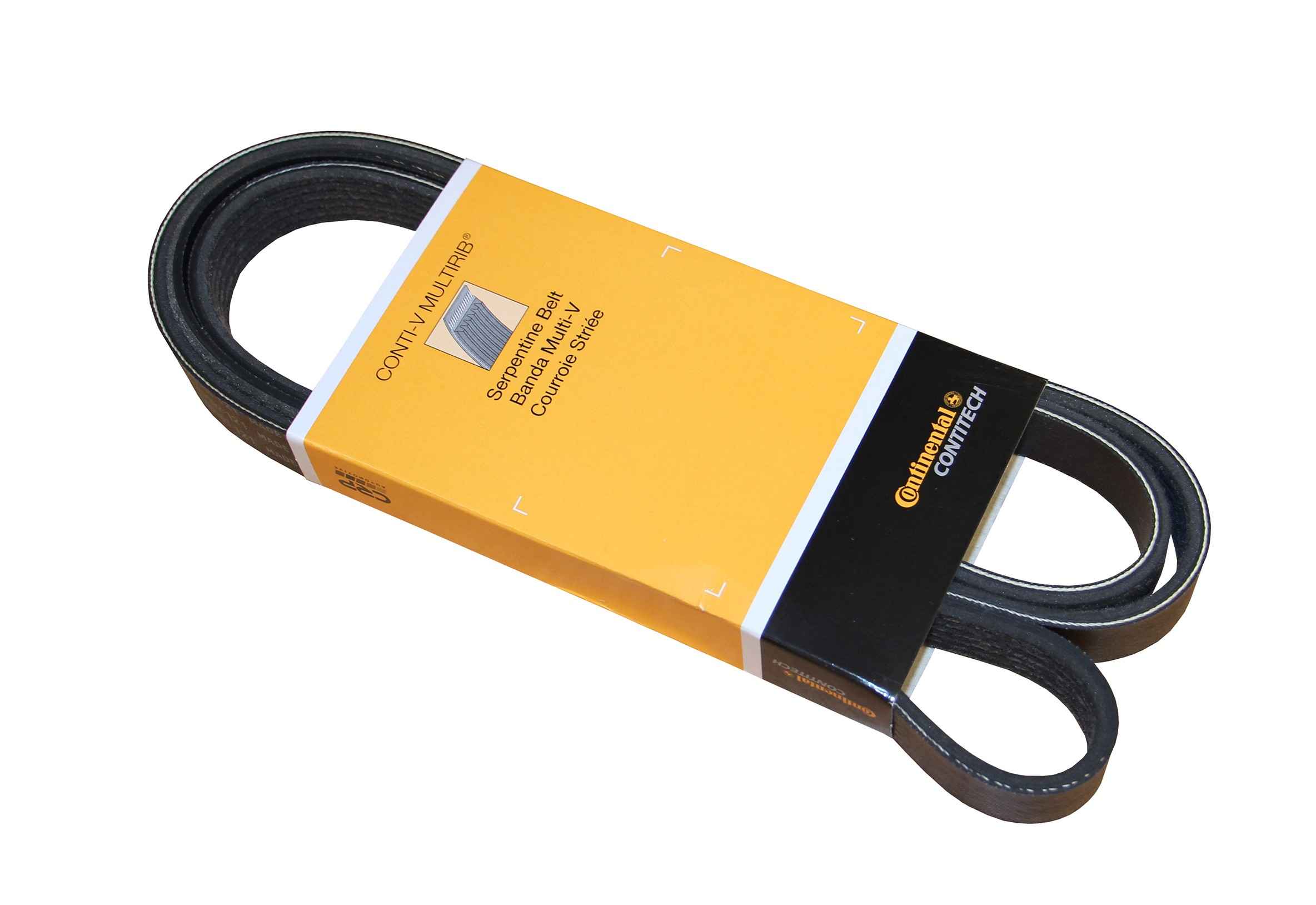 Continental Serpentine Belt PK060663