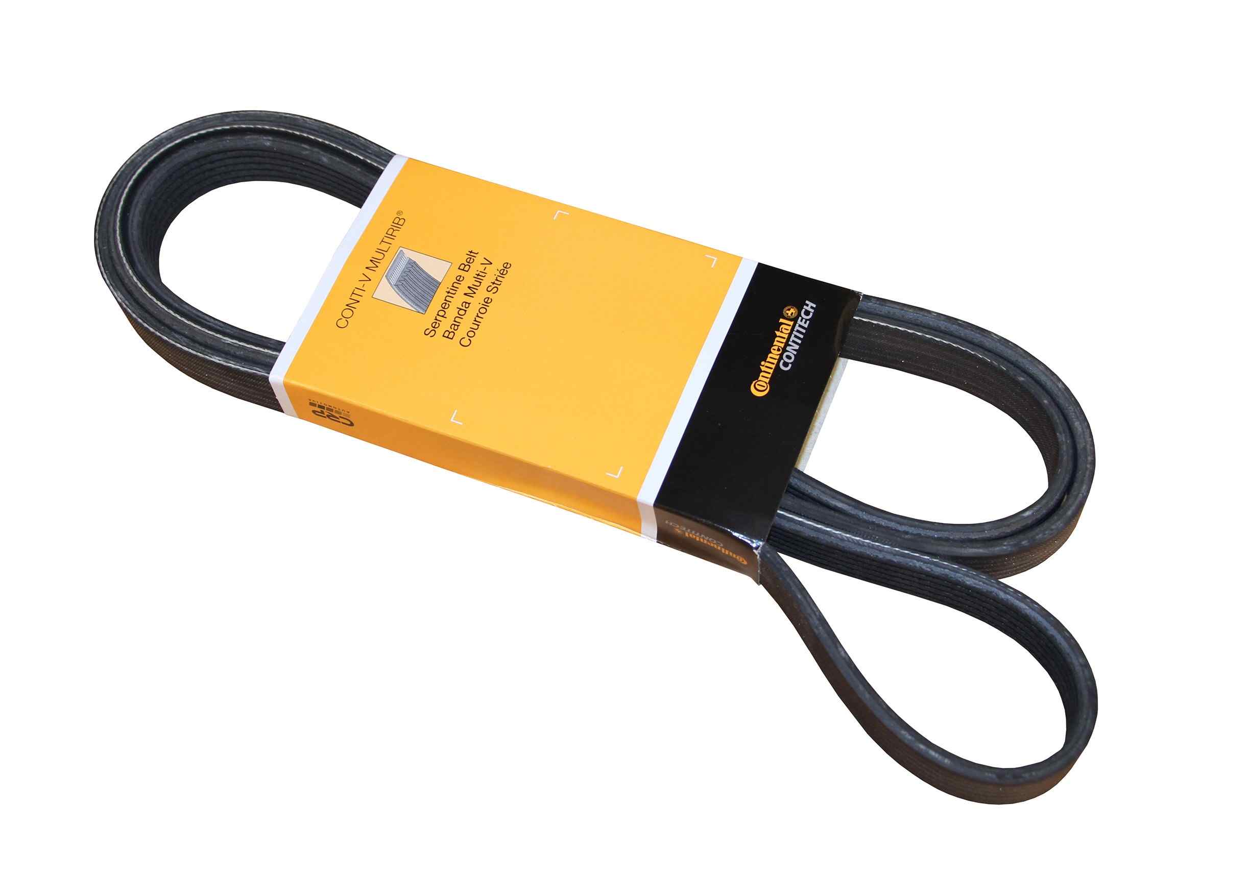 Continental Serpentine Belt PK060825