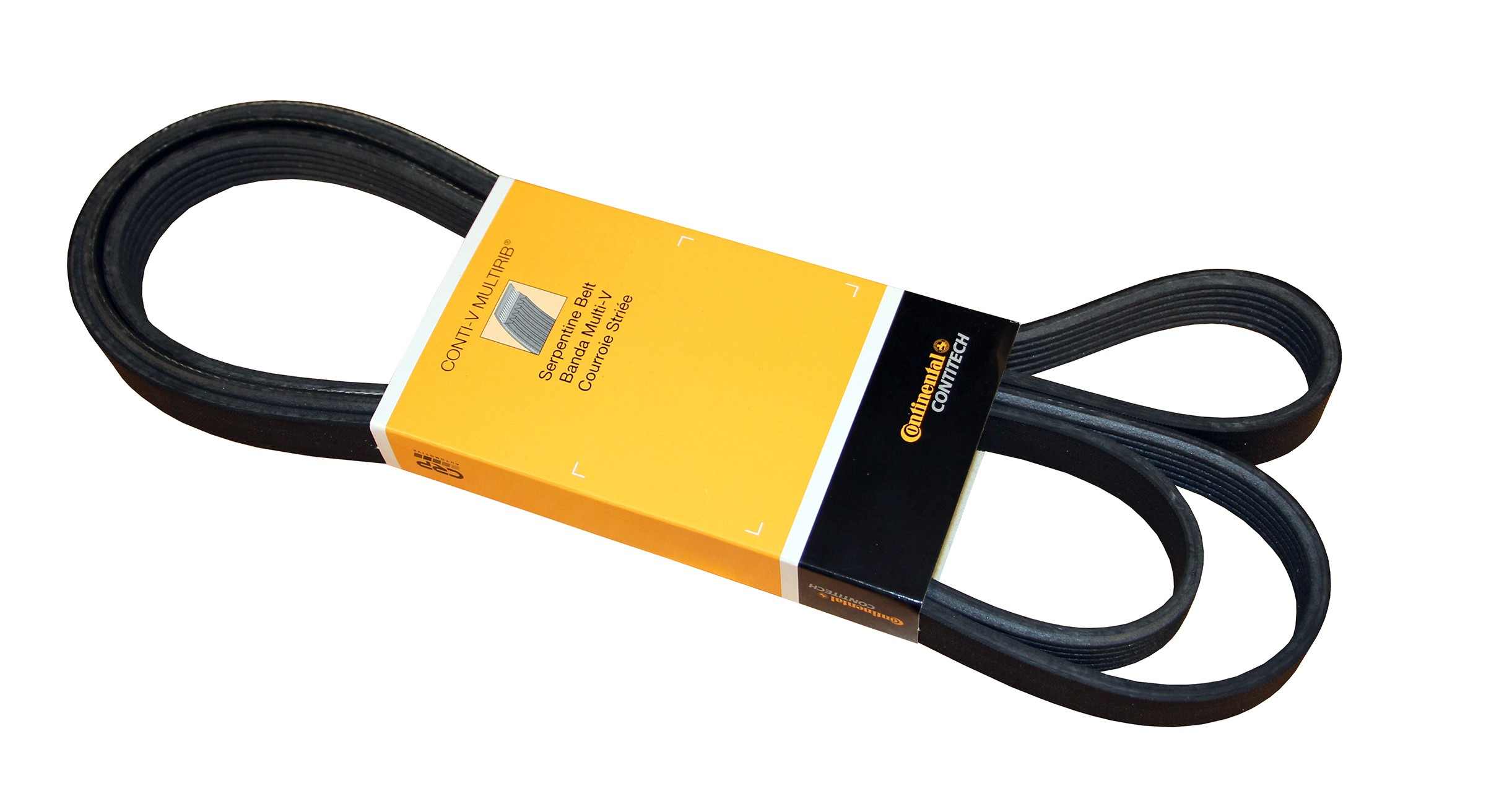 Continental Serpentine Belt PK060905