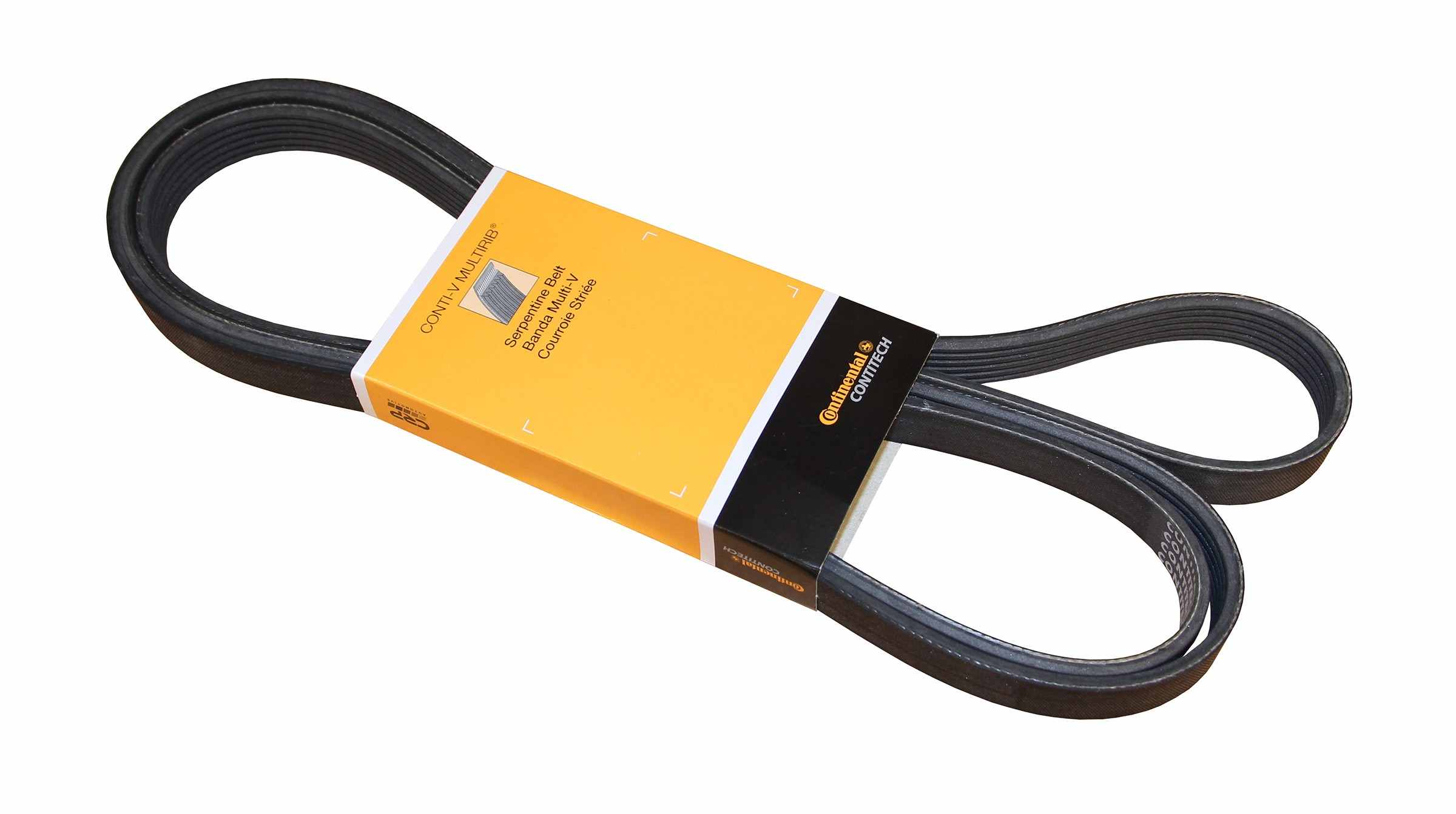 Continental Serpentine Belt PK060990