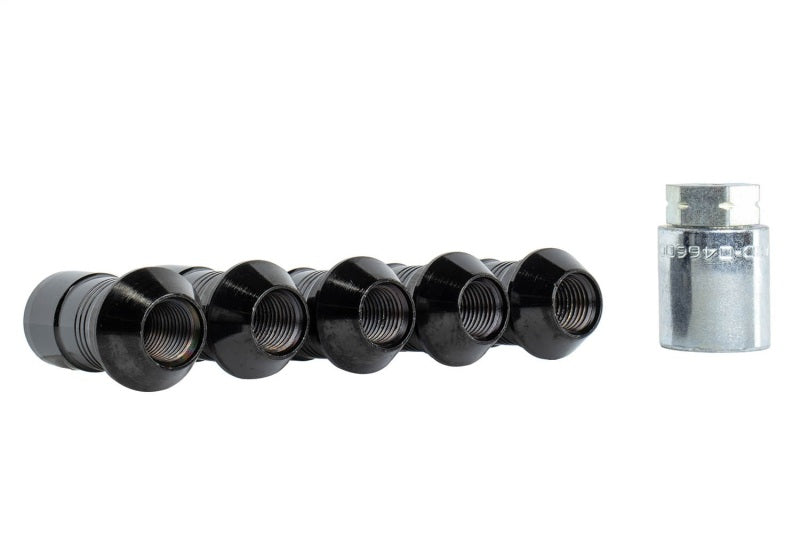 Ford Racing 2023+ Ford Bronco Raptor M14 x 1.5 Black Security Lug Nut Kit - Set of 5 M-1A043-A5 M-1A043-A5 Photo - Unmounted