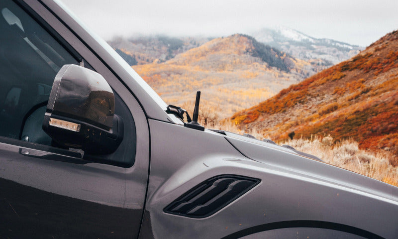 BuiltRight Industries 15-19 Ford F-150 / 17-19 Ford F-250/F-350 Perfect-Fit Stubby Antenna 110011 110011 Photo - lifestyle view