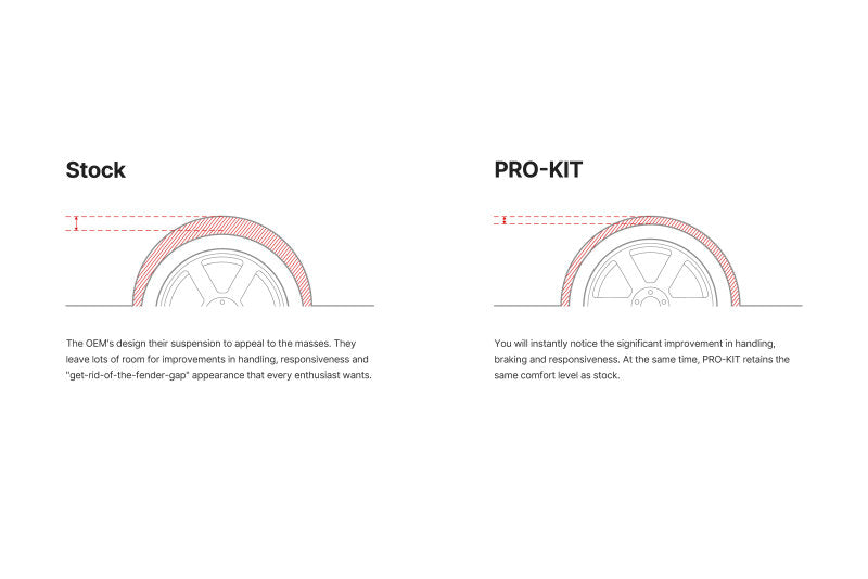 Eibach Pro System Jeep Grand Cherokee SRT8 2006-2009 2892.540 Illustration Guide