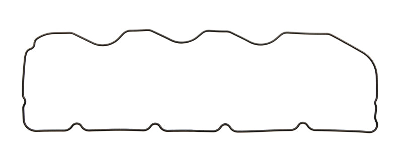 Cometic Gasket Cometic Chevrolet R07.2 Race V8 Nitrile Formed Rubber O-Ring Valve Cover Gasket C15013 C15013 Photo - Primary