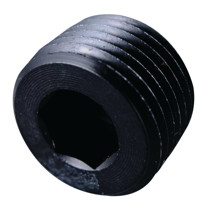 Fragola 3/4 NPT Pipe Plug- Internal Black 493206-BL 493206-BL User 1
