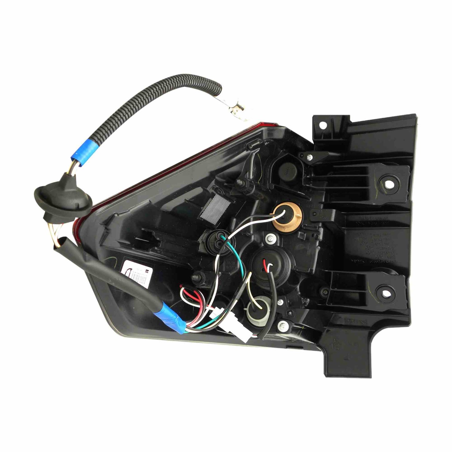 Eagle Eyes DS781-B000L