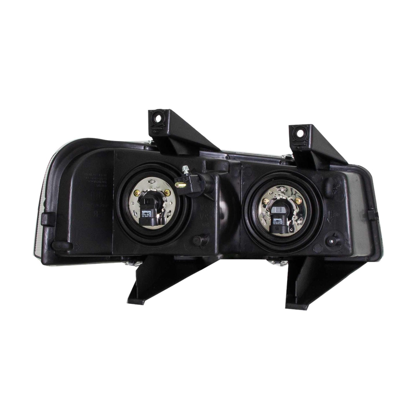 Eagle Eyes GM343-B001L