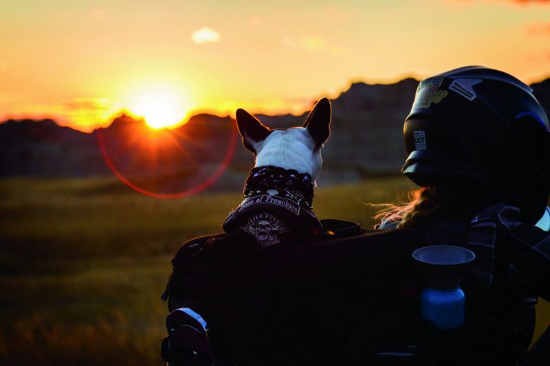 Kuryakyn Grand Pet Palace 5288 5288 User 3