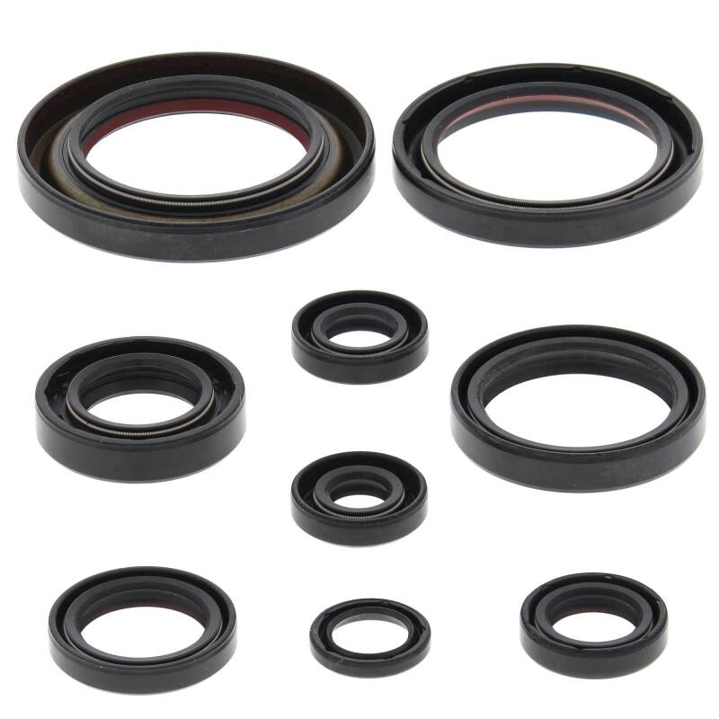 Vertex Pistons Vertex Gaskets 06-14 Honda TRX450ER Oil Seal Kit 822312 822312 Photo - Primary
