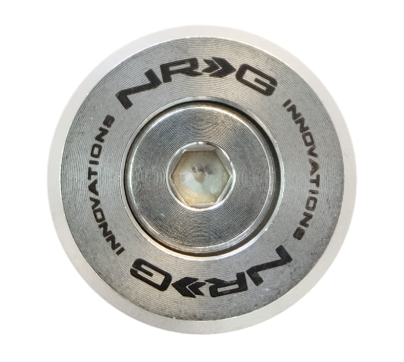 NRG M Style Fender Washer Kit TI Series M6 Bolts For Metal (Silver Washer/Silver Screw) - Set of 10 FW-380SS FW-380SS Photo - Primary