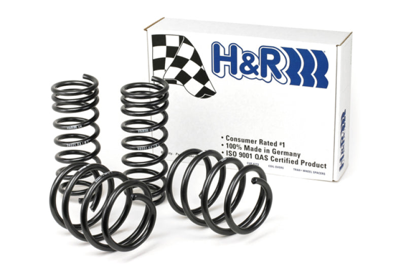 H&R Sport Springs BMW 650I 2006-2010 50466 Photo - Primary