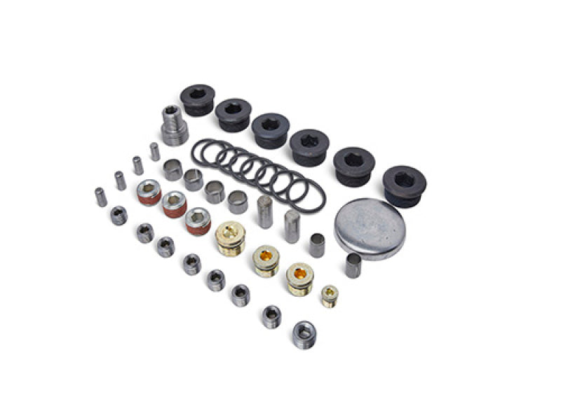 Ford Racing Block Plug and Dowel Kit (For Z Blocks) M-6026-ZBLOCK M-6026-ZBLOCK Photo - Primary