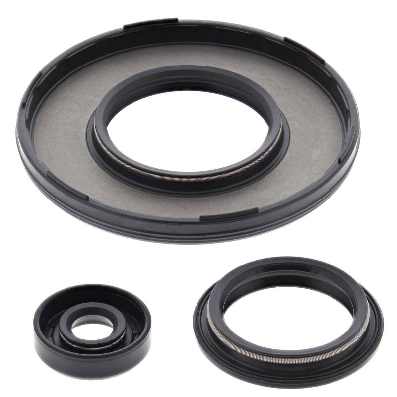 Vertex Pistons Vertex Gaskets 08-09 Ski-Doo MX Z 500 SS Trail Oil Seal Kit 55230 55230 Photo - Primary