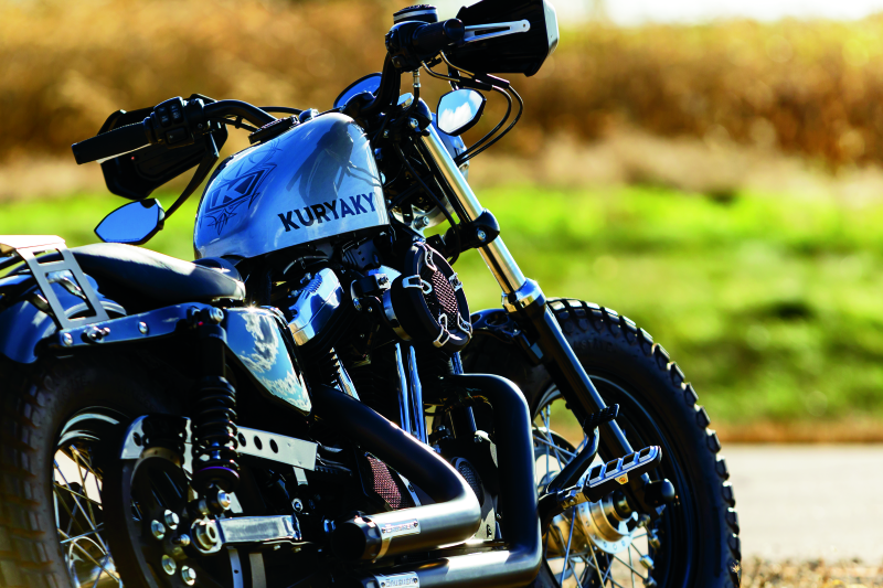 Kuryakyn Dillinger Pegs Mle Mt Adpt Sil 6666 6666 User 1