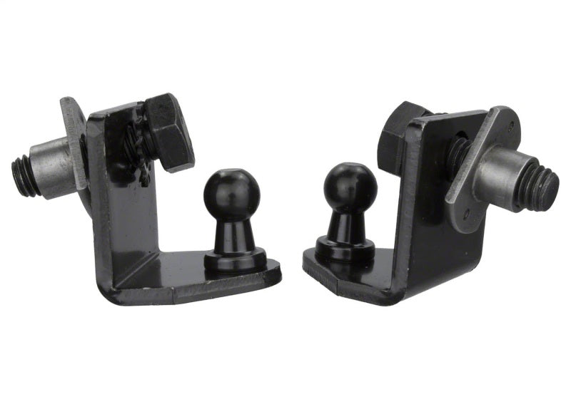 Ford Racing 15-20 GT350 Hood Lift Kit w/Laser Engraved Ford Performance Logo M-16826-GT350 M-16826-GT350 Photo - Unmounted