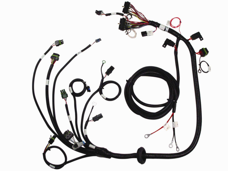 FAST Fuel Injection Harness 307012 Photo - Primary