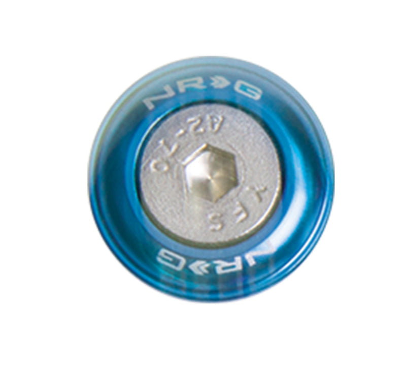 NRG Fender Washer Kit, Set of 10, Blue, Rivets for Metal FW-110BL Photo - Primary