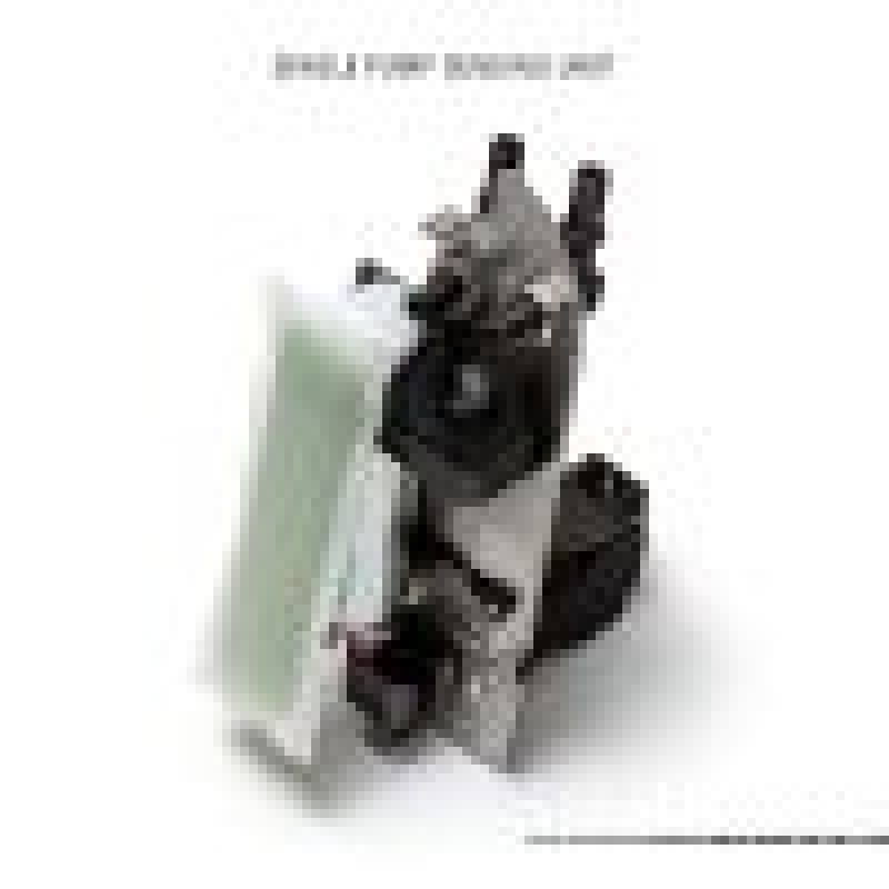 AMS Performance 2009+ Nissan GT-R R35 Omega Fuel System - Dual Pumps ALP.07.07.0010-2 ALP.07.07.0010-2 Photo - Primary