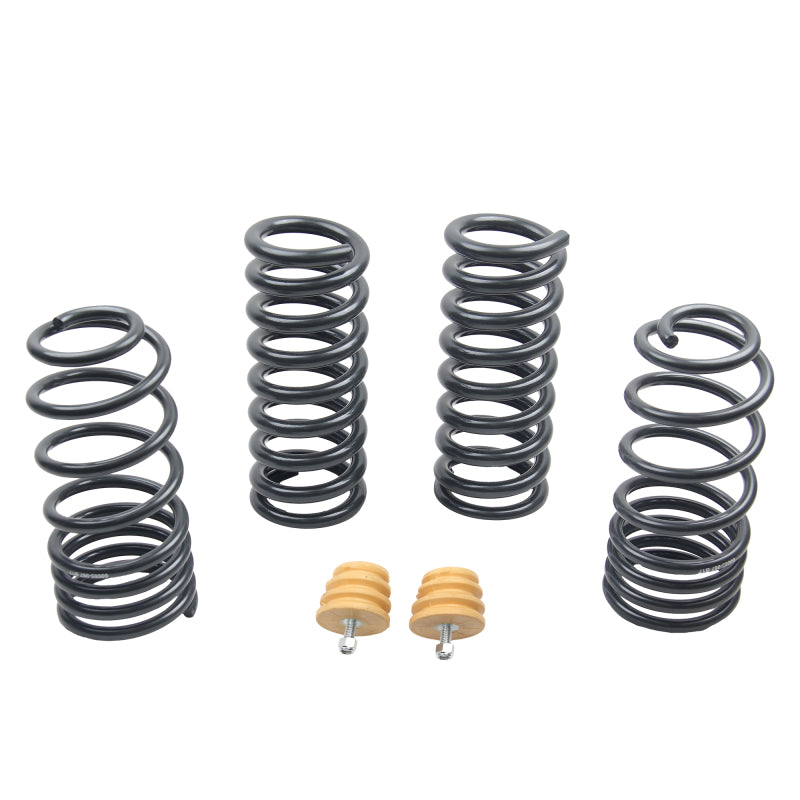 ST Sport-tech Lowering Springs Ford Mustang 3rd gen. / 4th gen. 60090 60090 User 1