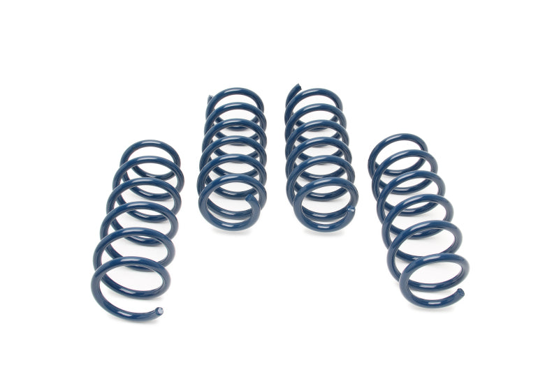Dinan DNN Coil Springs Suspension Coilover Springs main image