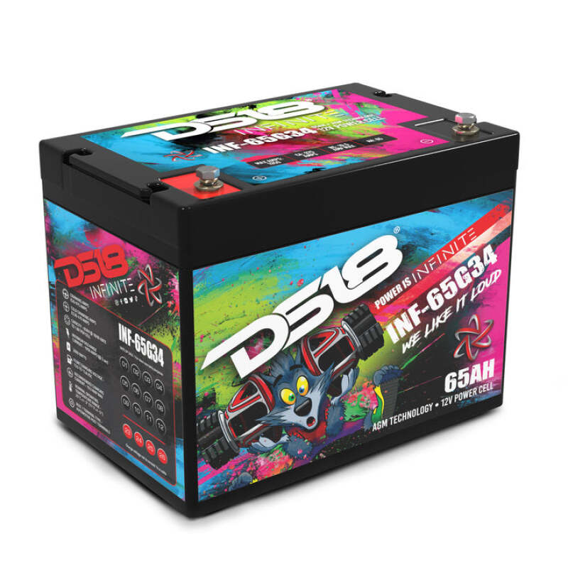 DS18 DSE Infinite AGM Power Cell Batteries Batteries, Starting & Charging Batteries main image
