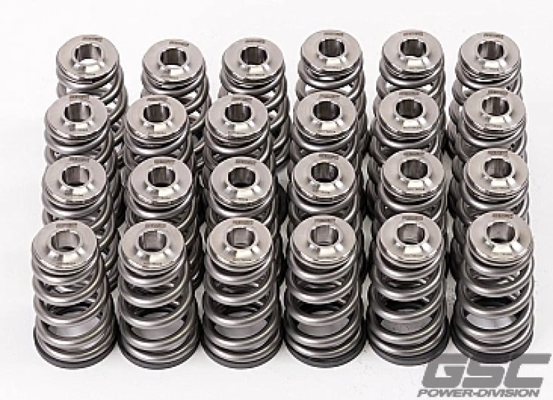 GSC Power Division GSC P-D Nissan TB48 Ti Retainer Steel Spring Seat Conical Valve Spring Kit 5077 5077 User 1