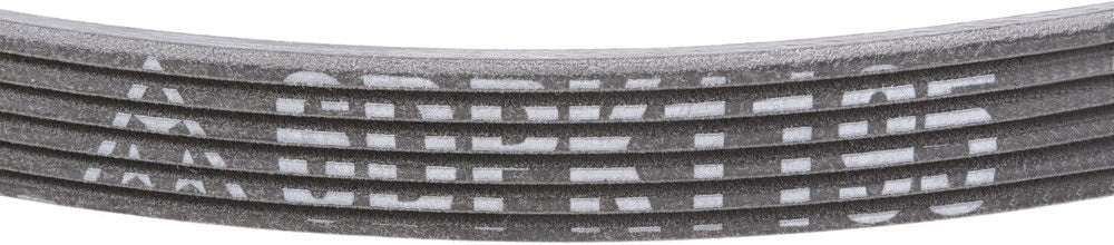 Mitsuboshi Serpentine Belt