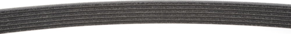Mitsuboshi Accessory Drive Belt 6PK2498