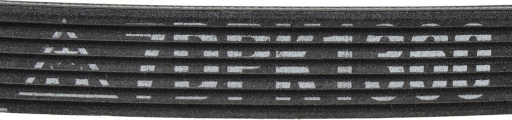 Mitsuboshi Accessory Drive Belt 7DPK1360