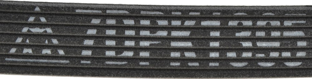 Mitsuboshi Accessory Drive Belt 7DPK1395