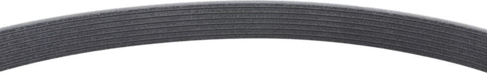 Mitsuboshi Accessory Drive Belt 7PK1755