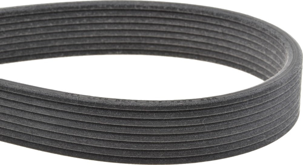 Mitsuboshi Accessory Drive Belt 8DPK1412