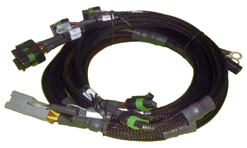 Haltech V8 Ford Small/Big Block 8 x Individual High Output IGN-1A Inductive HT-130311 Photo - Primary