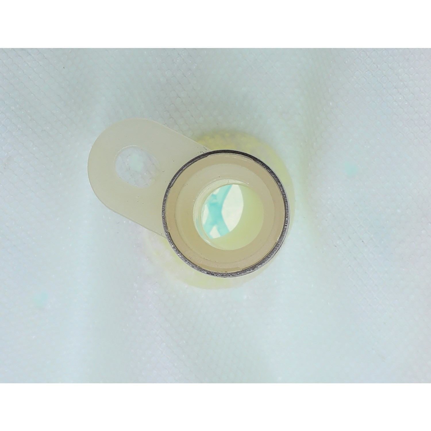 Airtex Fuel Pumps Fuel Pump Strainer FS161