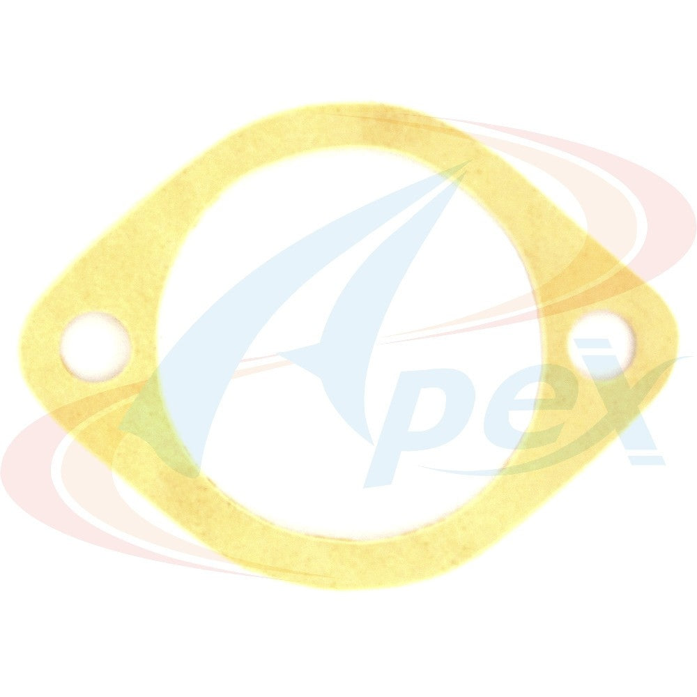 Apex Gasket AWO2029