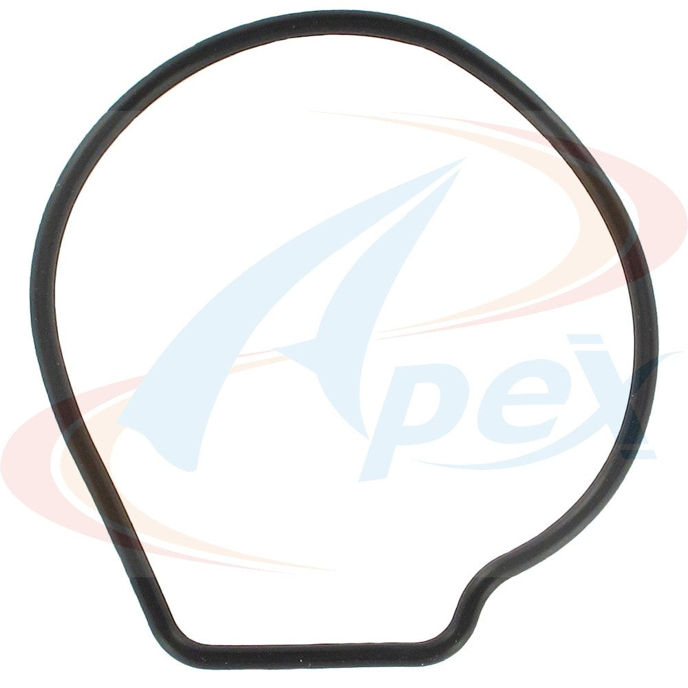 Apex Gasket AWP3063