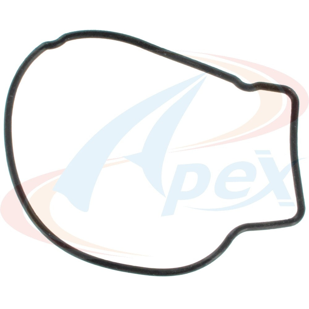 Apex Gasket AWP3094