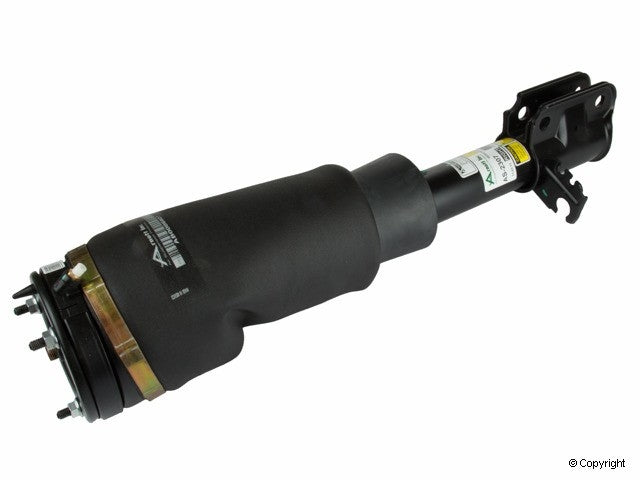 Arnott Industries Suspension Strut Assembly