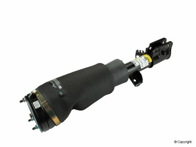 Arnott Industries Suspension Strut Assembly