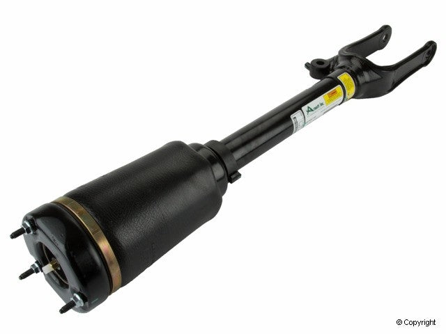 Arnott Industries Suspension Strut Assembly