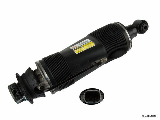 Arnott Industries Suspension Strut Assembly