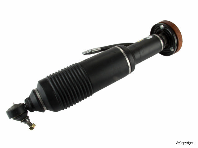 Arnott Industries Suspension Strut Assembly