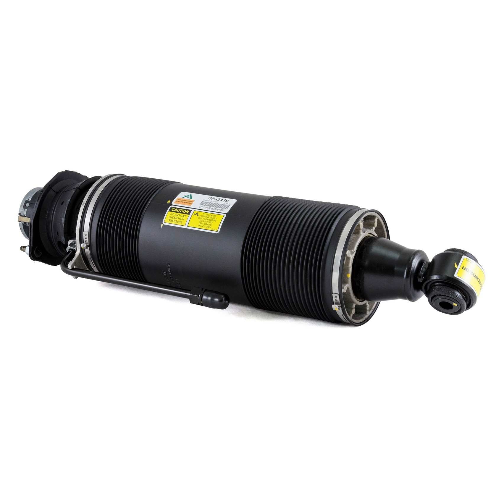 Arnott Industries Suspension Strut Assembly