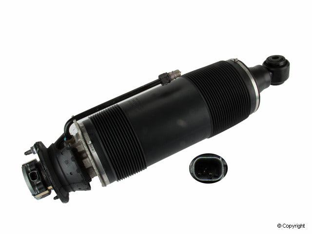 Arnott Industries Suspension Strut Assembly