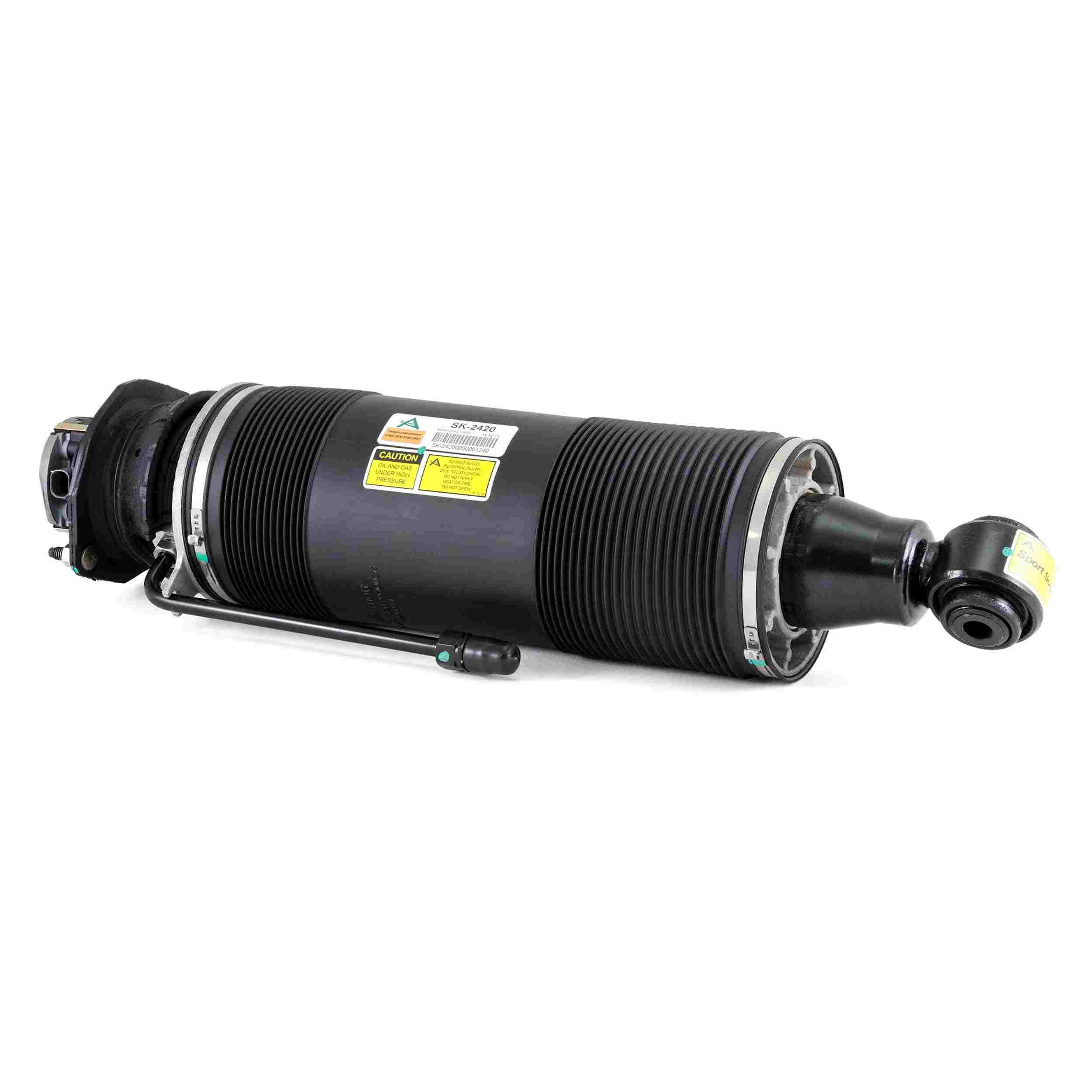 Arnott Industries Suspension Strut Assembly